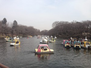 inokashira-park