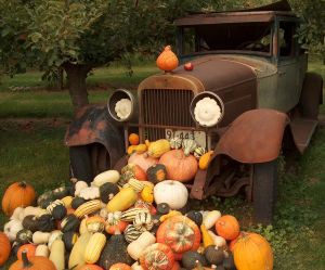 truck-with-squash-608686-m